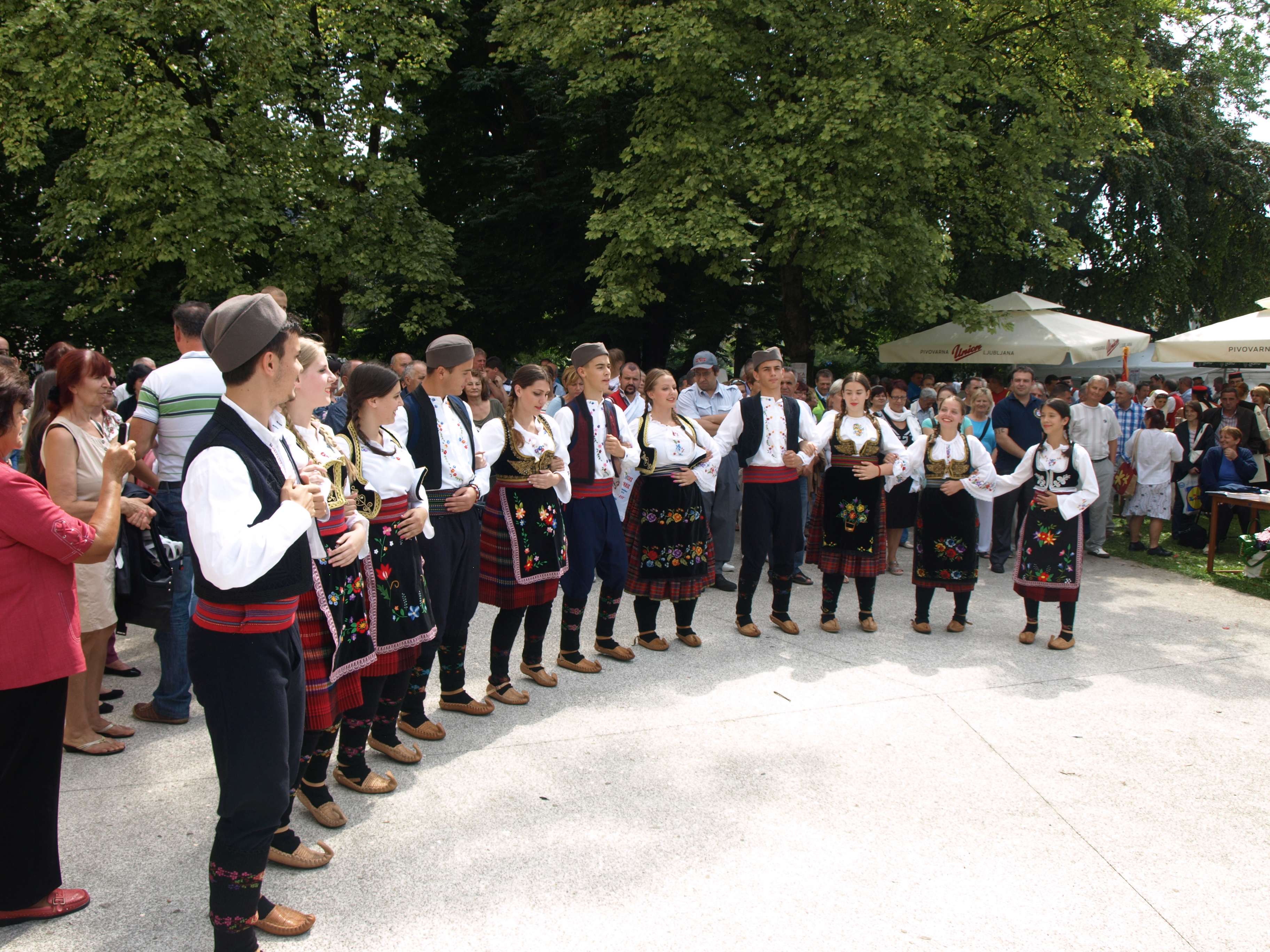 VI. »VESELI DANI SRPSKE DIJASPORE SLOVENIJE« 2014